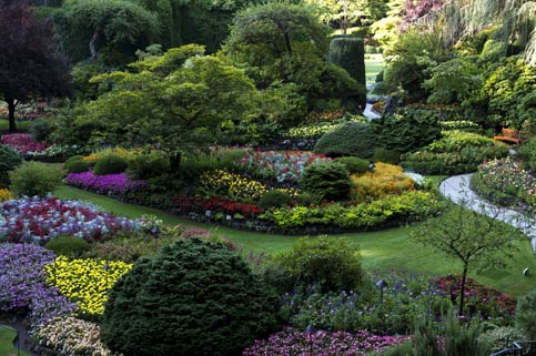 Garden of Hues