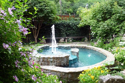 Water Feature